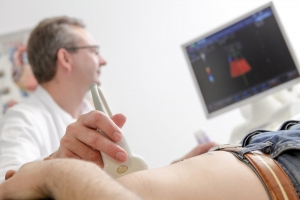 Siebold & Siebold Untersuchung